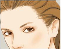 發(fā)際線(xiàn)